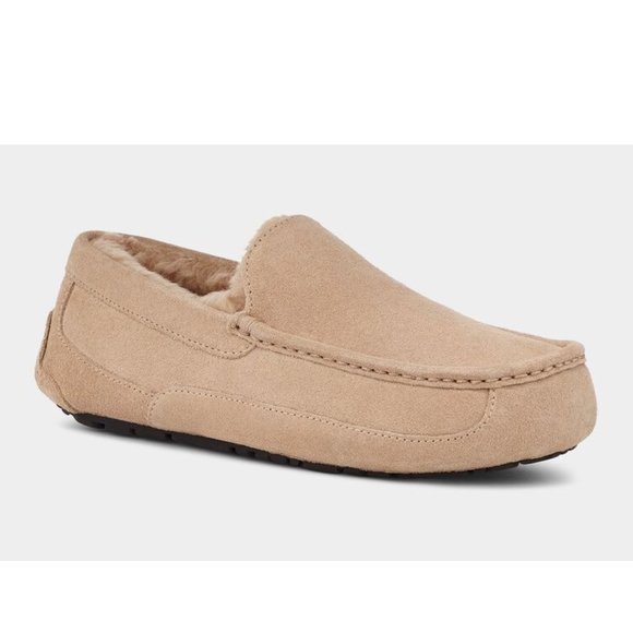 UGG Ascot Men's Slipper - Picture 1 of 5